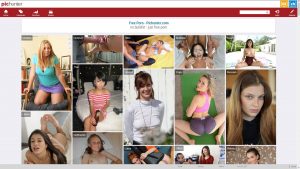 PicHunter
